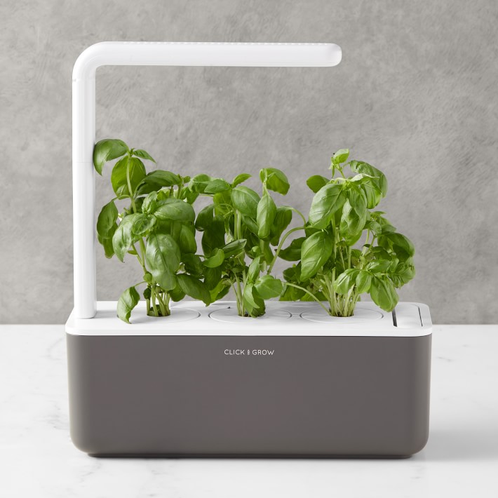 Compact and efficient countertop hydroponic garden setup, ideal for growing fresh vegetables and herbs indoors.